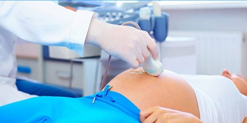 Échographie pendant la grossesse