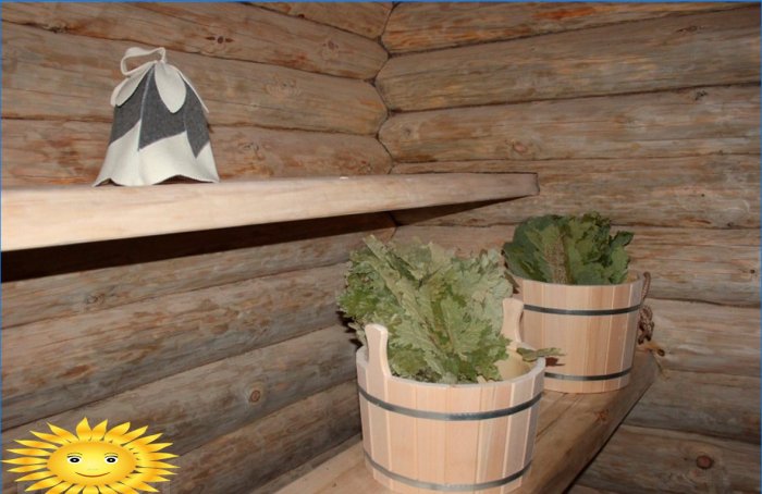 Poêle de sauna Skoropark: caractéristiques de travail, avantages et inconvénients