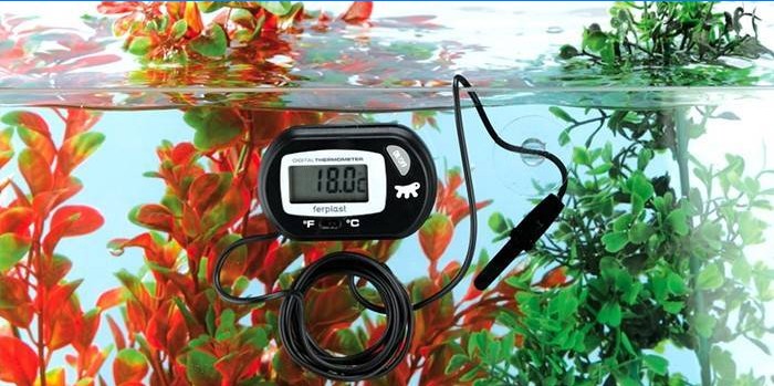 Thermomètre d'aquarium avec capteur à distance