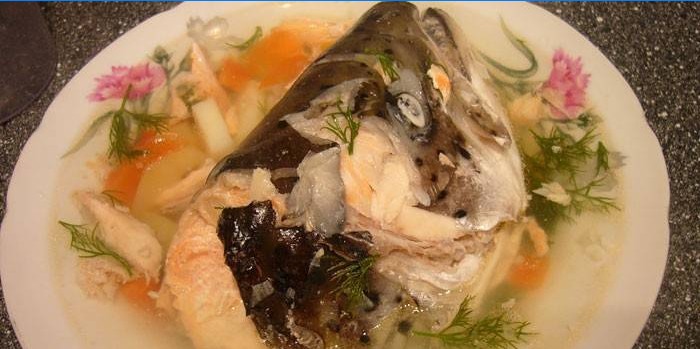 Soupe de poisson à la tête de saumon dans une assiette