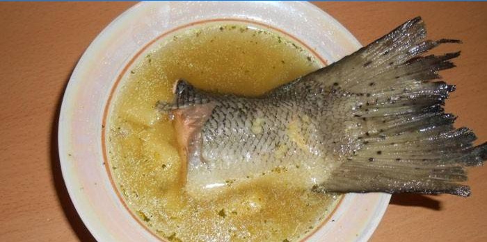 Oreille dans une assiette et queue de saumon