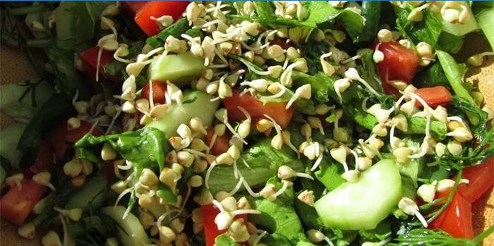 Salade aux grains germés de sarrasin vert