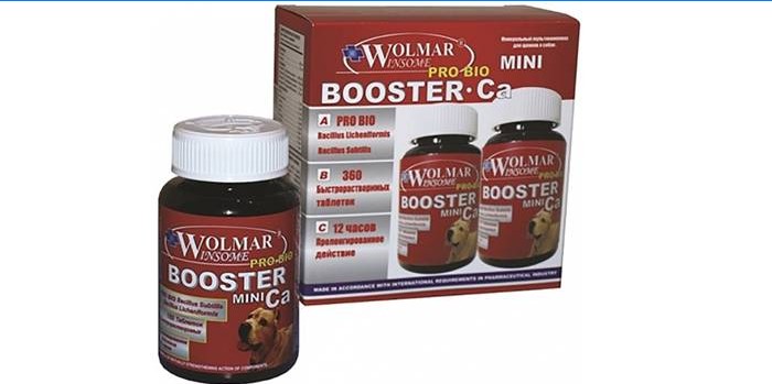 Booster de complexe osseux et cartilagineux Ca Mini