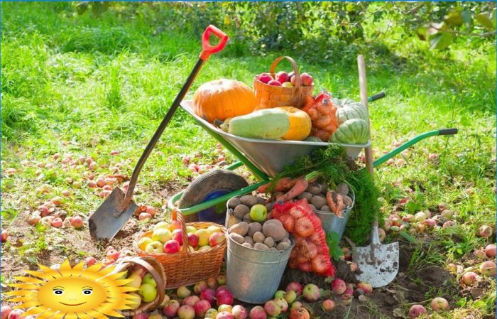 Calendrier lunaire du jardinier: règles pour chaque année