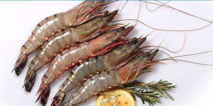 crevettes tigrées