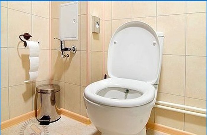 Comment choisir une toilette moderne
