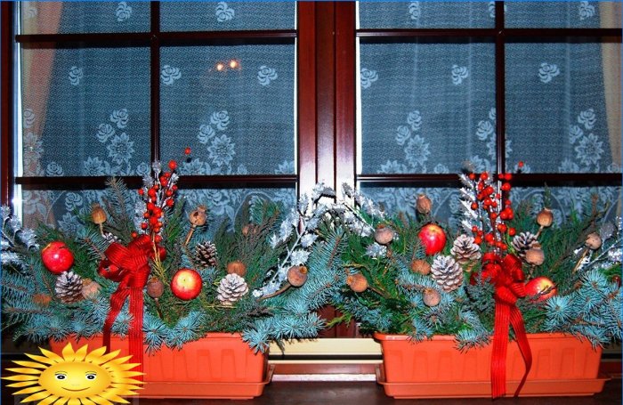 Comment décorer les fenêtres pour la nouvelle année: exemples de photos