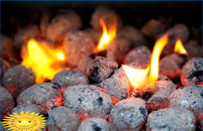 Comment faire des briquettes de combustible bricolage