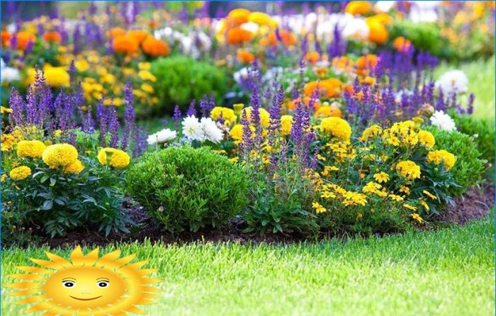 Comment faire un parterre de fleurs et planter des fleurs qui fleurissent tout l'été