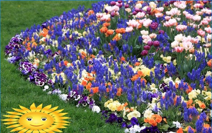 Comment faire un parterre de fleurs et planter des fleurs qui fleurissent tout l'été