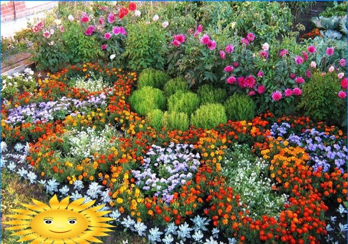 Comment faire un parterre de fleurs et planter des fleurs qui fleurissent tout l'été