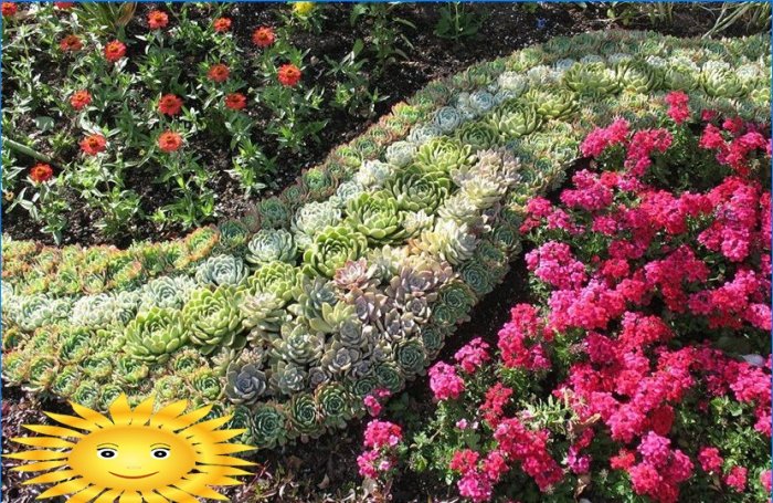 Comment faire un parterre de fleurs et planter des fleurs qui fleurissent tout l'été