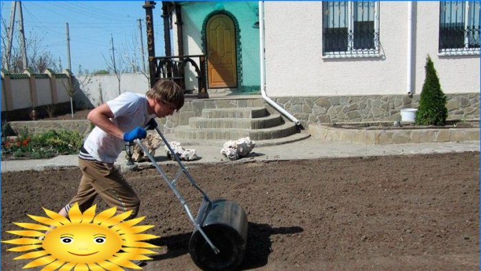 Le processus de roulement du sol pour la pelouse avec un rouleau spécial