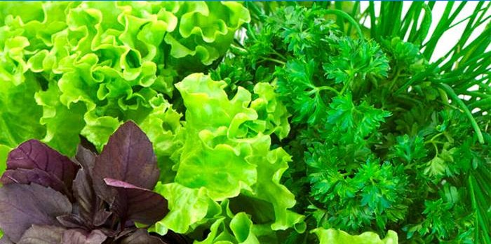 Verts feuillus
