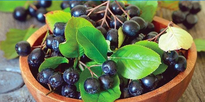 Baies d'Aronia