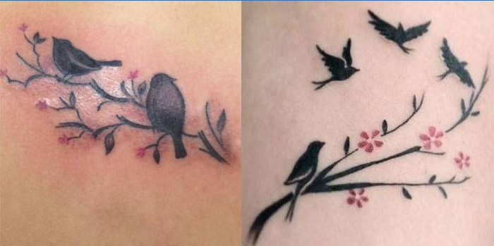 Oiseaux sur des branches d'arbres