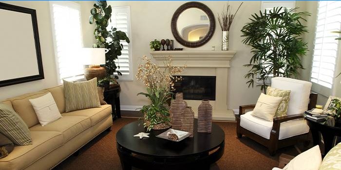 Plantes Feng Shui