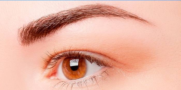Belle forme de sourcil