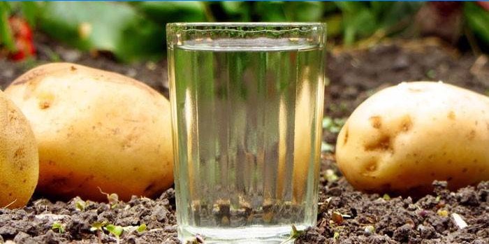 Moonshine dans un verre et pommes de terre