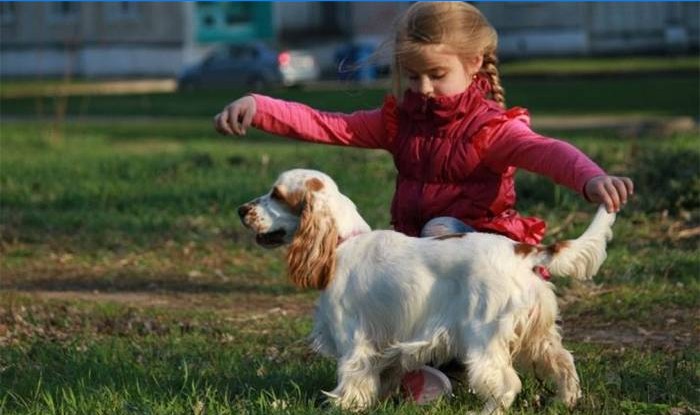 Fille jouant avec un chien