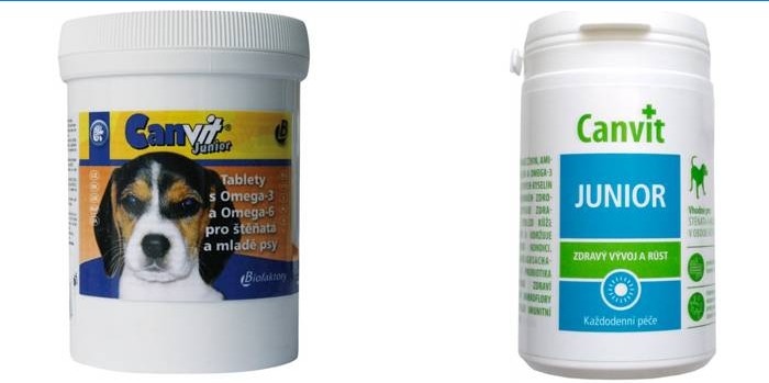 Vitamines Canvit Junior