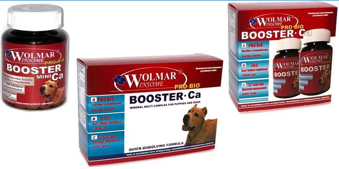 Booster Ca par Wolmar