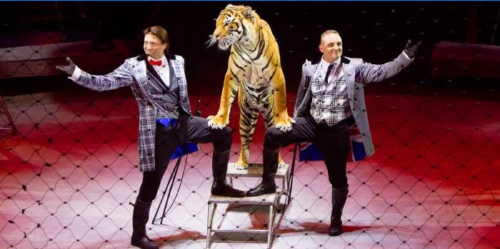 Les frères Zapashny au cirque
