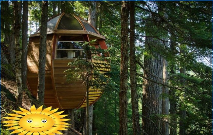 Les meilleures cabanes dans les arbres pour enfants: photos et idées