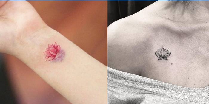 Couleur et lotus noir et blanc