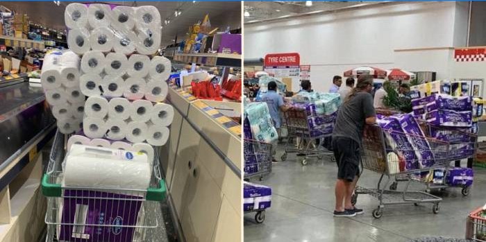 Rouleaux de papier toilette dans des paniers d'achat