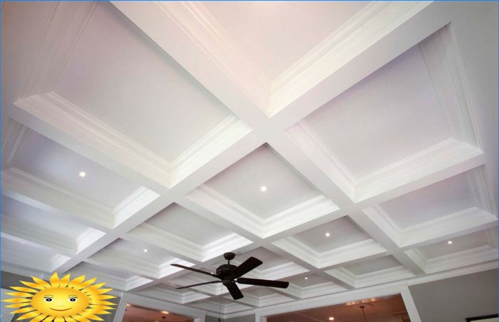  Plafond   caissons  caract ristiques de l arrangement