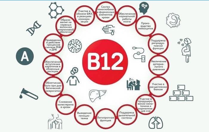 Avantages de la vitamine B12