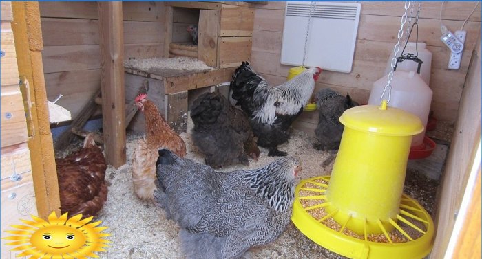 Poulailler DIY pour 10 poulets