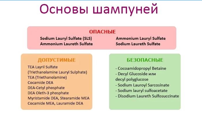 Bases du shampooing