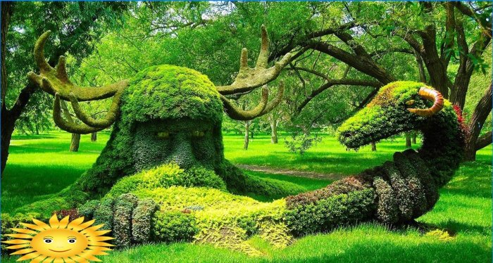 Topiaire - sculptures d'arbustes et d'arbres