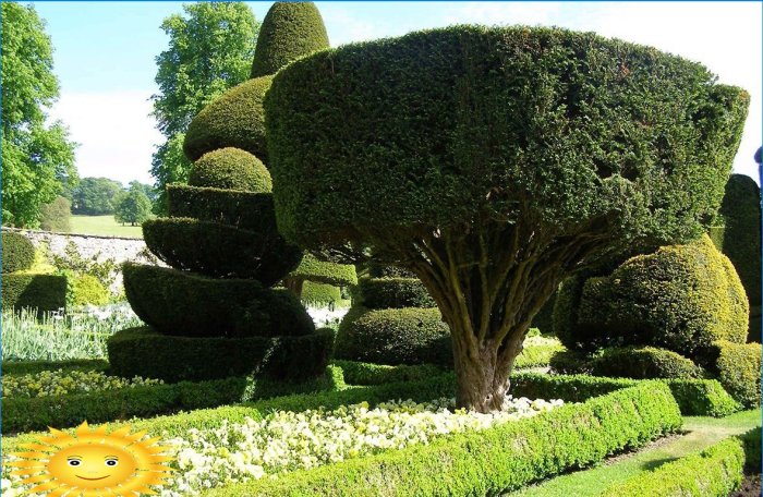 Topiaire - sculptures d'arbustes et d'arbres