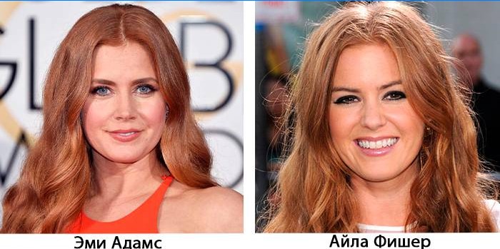 Amy Adams - Isla Fisher