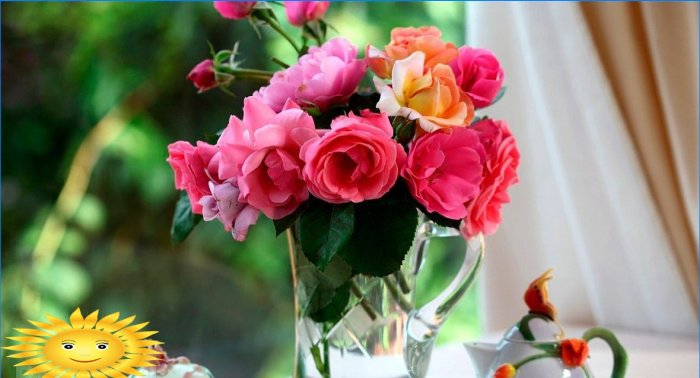 10 façons de prolonger la vie des fleurs coupées