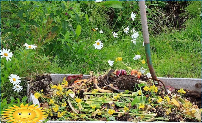 Agriculture biologique: arrêtez de broyer le sol en creusant et en désherbant