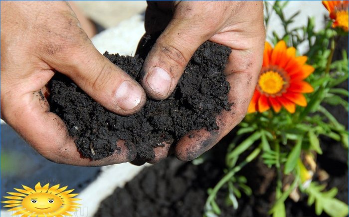 Agriculture biologique: arrêtez de broyer le sol en creusant et en désherbant