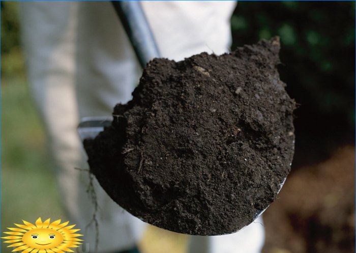 Agriculture biologique: arrêtez de broyer le sol en creusant et en désherbant