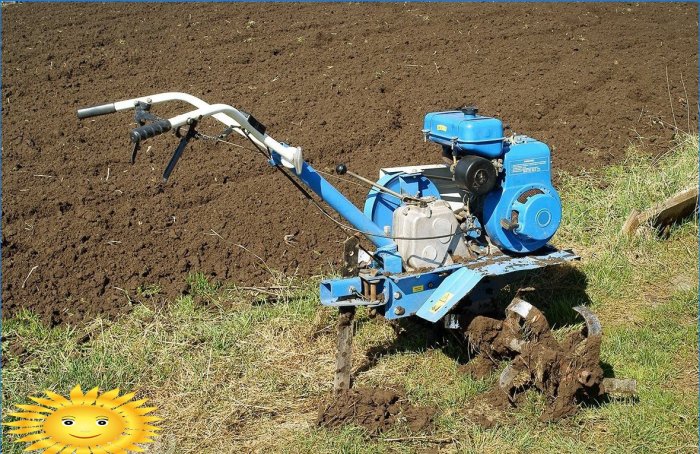 Agriculture biologique: arrêtez de broyer le sol en creusant et en désherbant