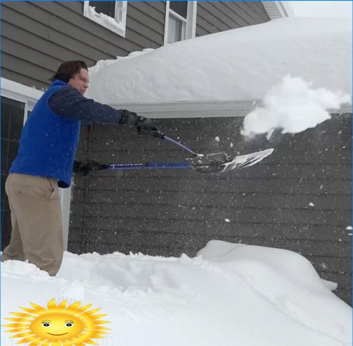 Snow Joe SJ-SHLV01