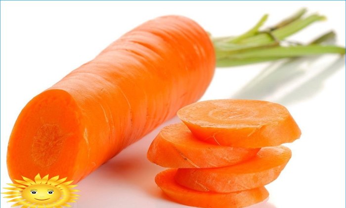 Cultiver des carottes en plein champ: plantation et entretien