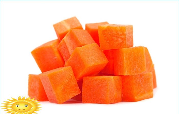 Cultiver des carottes en plein champ: plantation et entretien
