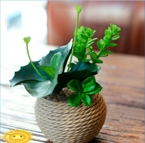 Décor de pot de fleur bricolage