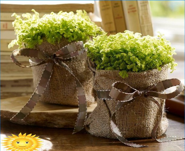 Décor de pot de fleur bricolage