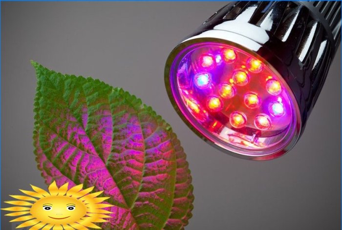 Lampes pour semis de plantes: un aperçu, des conseils pour choisir