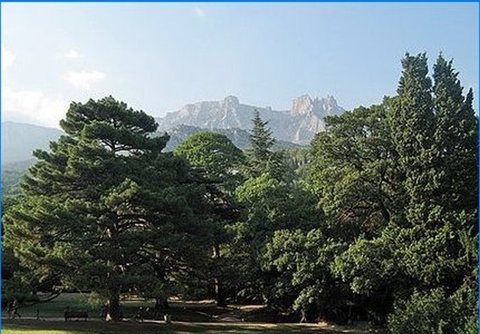 Parc Alupka
