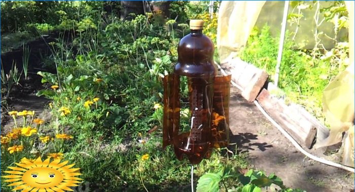 Un spinner d'une bouteille en plastique pour effrayer les oiseaux et les taupes